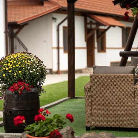 Magda Garden Hotel Cârțișoara Exterior photo