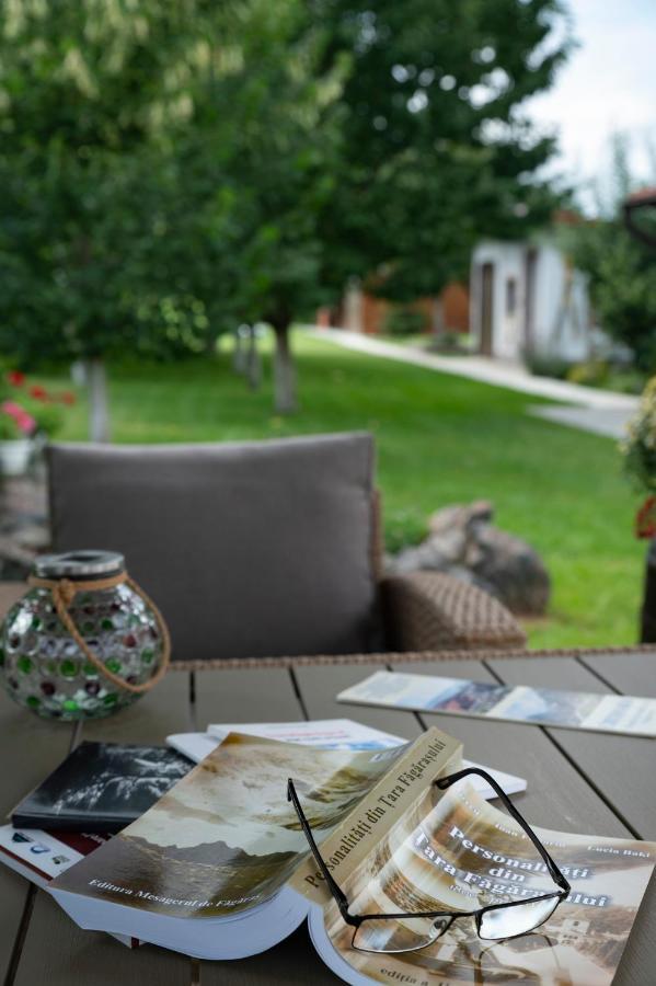 Magda Garden Hotel Cârțișoara Exterior photo