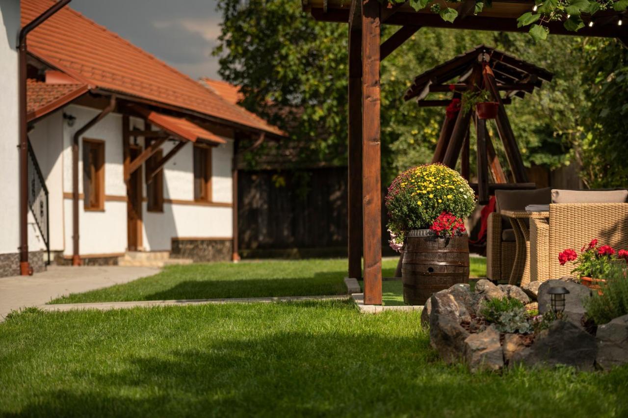 Magda Garden Hotel Cârțișoara Exterior photo