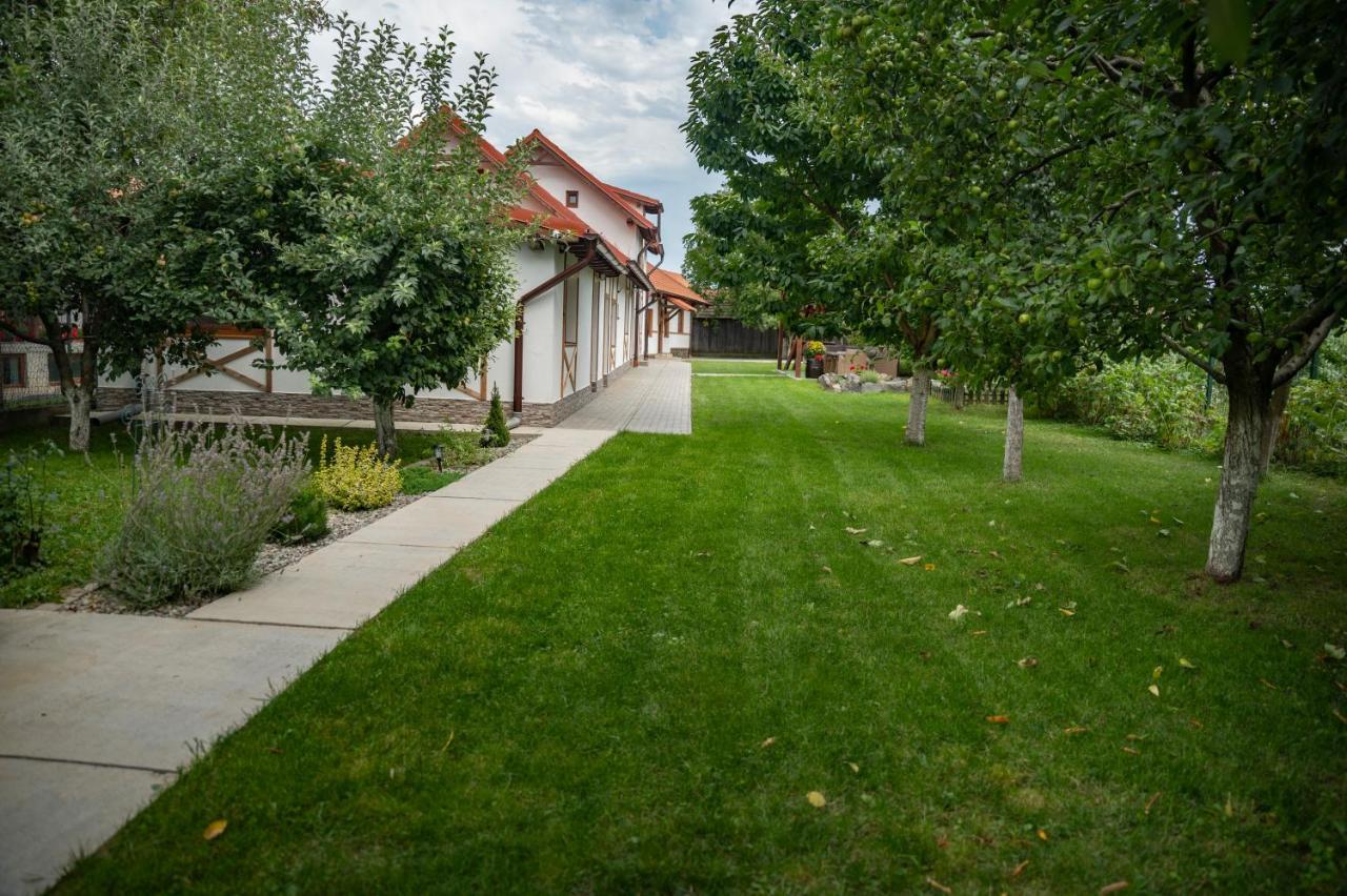 Magda Garden Hotel Cârțișoara Exterior photo