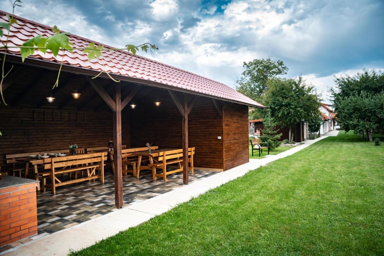 Magda Garden Hotel Cârțișoara Exterior photo