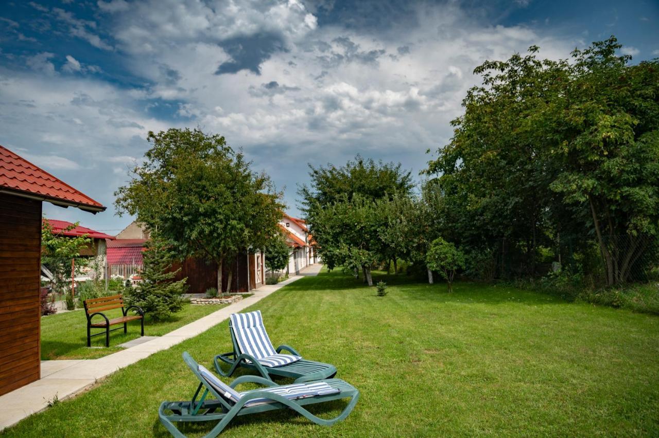 Magda Garden Hotel Cârțișoara Exterior photo