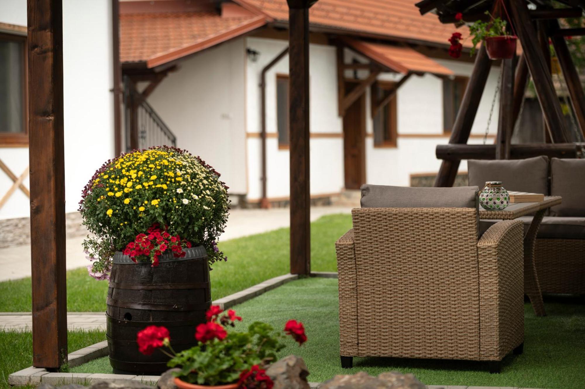 Magda Garden Hotel Cârțișoara Exterior photo